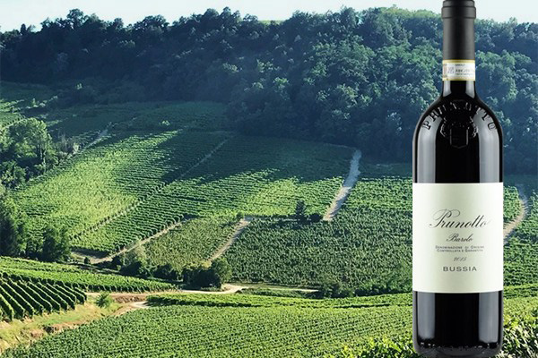 Barolo Bussia 2015 Prunotto