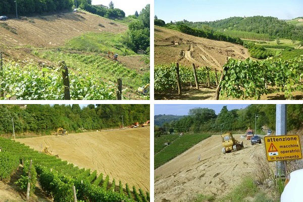 Azienda vinicola Sylla di Mario Sebaste