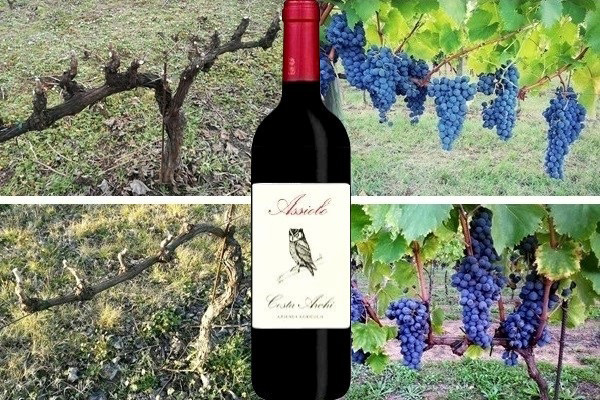 Romagna Sangiovese Serra ”Assiolo” 2016