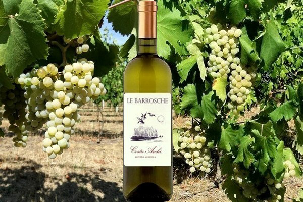 Ravenna Bianco ”Le Barrosche” 2018