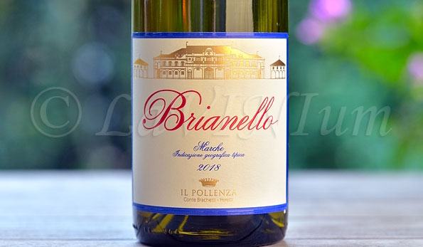 Brianello 2018 Il Pollenza