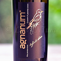 Campi Flegrei Falanghina 2018 Agnanum