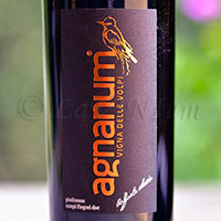 Campi Flegrei Piedirosso Vigna delle Volpi 2016 Agnanum