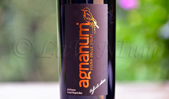 Campi Flegrei Piedirosso Vigna delle Volpi 2016