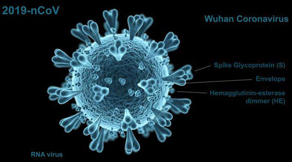 Coronavirus