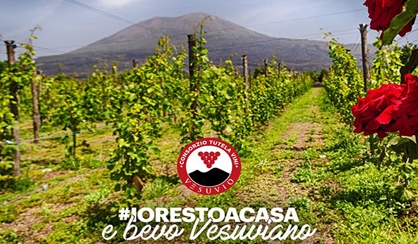 #iorestoacasa Consorzio Vesuvio