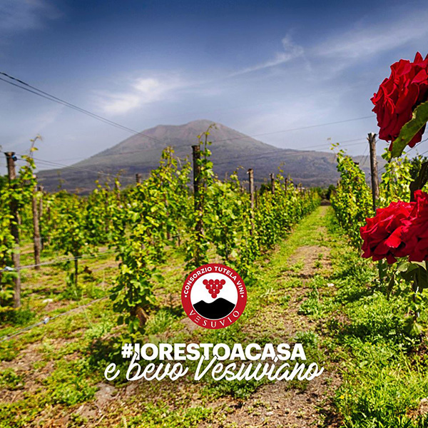 #iorestoacasa Consorzio Vesuvio