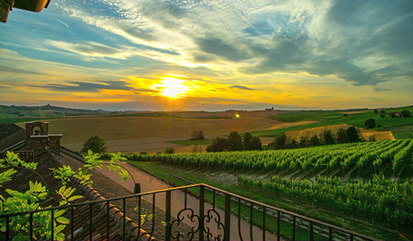 Tenuta Montemagno - veduta