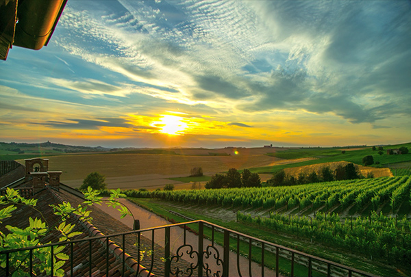Tenuta Montemagno - veduta