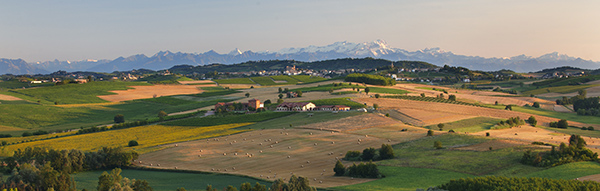 Tenuta Montemagno - vigneti