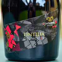 Tintilia del Molise S 2015 Catabbo