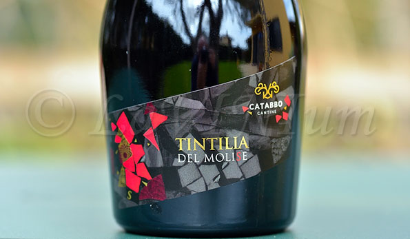 Tintilia del Molise S Cantine Catabbo