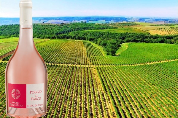 Nero di Troia Poggio al Parco Igp Murgia Rosato 2019