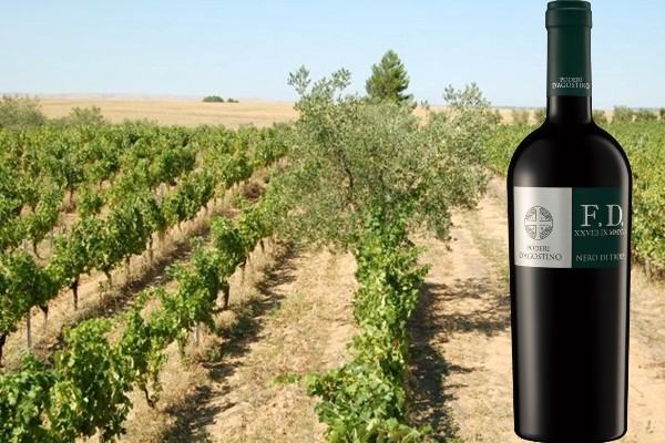 Nero di Troia F.D. XXVIII IX MMXVI Igp Murgia Rosso 2017 Botromagno