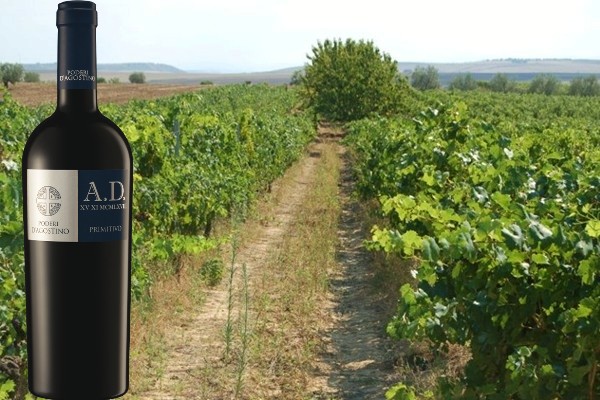 Primitivo A.D. XV XI MCMLXVIII Igp Murgia Rosso 2016 Botromagno