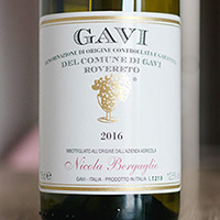 Gavi Rovereto 2016 Nicola Bergaglio