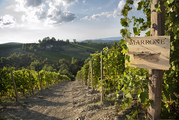 cartellone Azienda Agricola Marrone