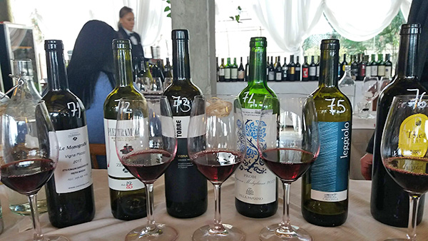 I vini in sala degustazione