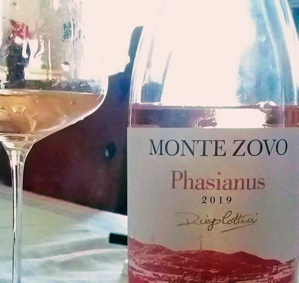 Phasianus 2019 Monte Zovo