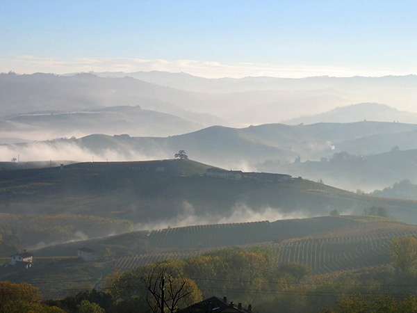 Paesaggio langarolo con la nebbia