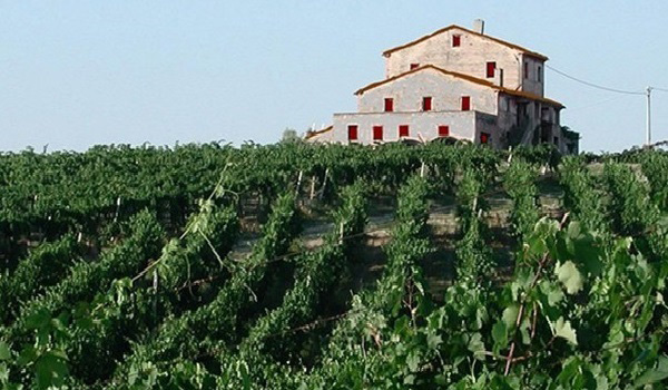 Azienda Vinicola Montecappone