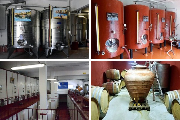 cantina azienda Montecappone