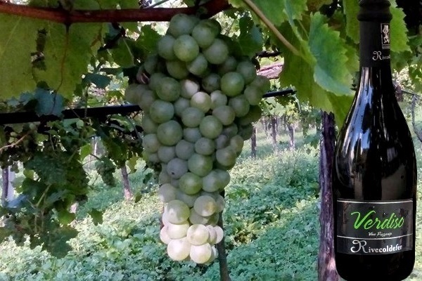 Alto Livenza Igt Verdiso frizzante Rive Col de Fer