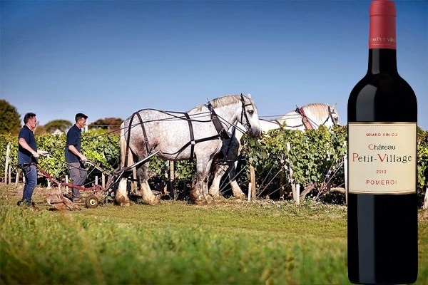 Pomerol 2012 Château Petit-Village