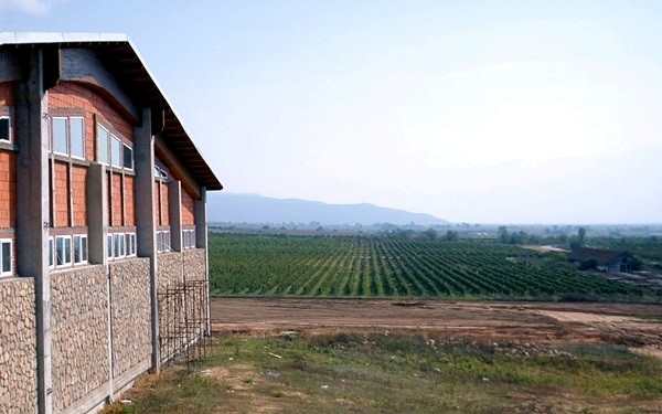 Dalvina winery
