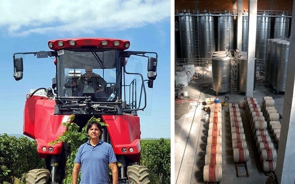 Dalvina trattore e cantina