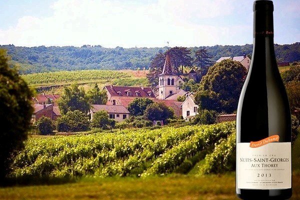 Nuits-Saint-Georges 1er Cru ”Aux Thorey” 2013 Domaine David Duband