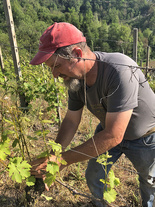 Demarie: lavoro in vigna