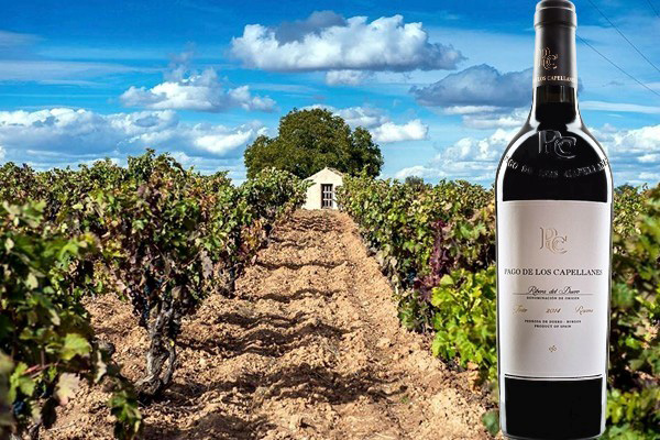 Ribera del Duero Reserva 2014 Pago de los Capellanes