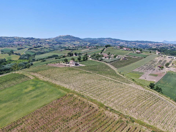 Azienda Passo delle Tortore