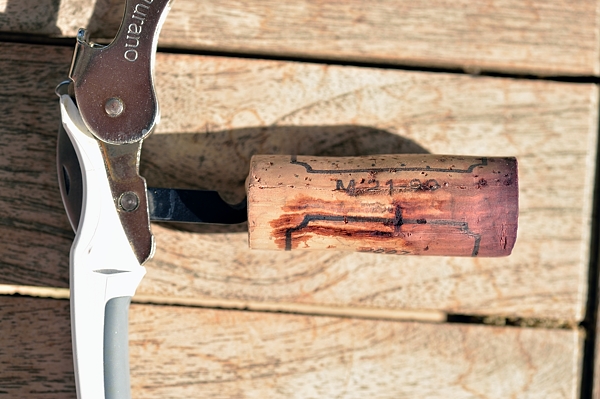 Tappo del Barbaresco Serraboella F.lli Cigliuti