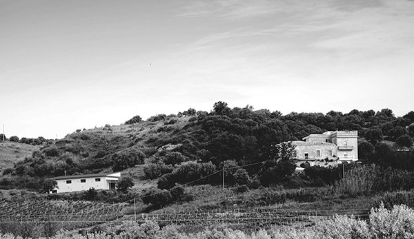 Tenuta dei Baroni Capoano