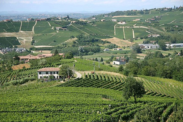 azienda Gianni Doglia