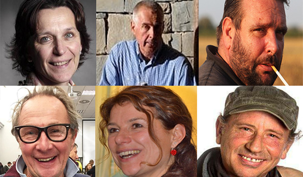 Il vino non si ferma