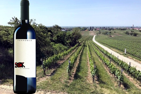 Pannobile Weingut Judith Beck
