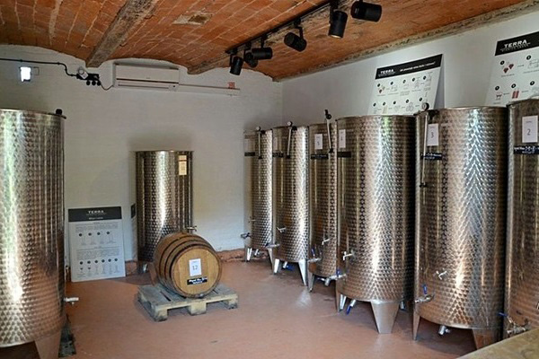 Terra Winnica cantina