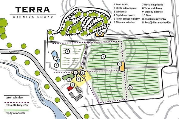 Terra Winnica vigneti