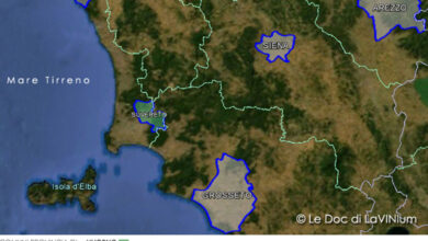 mappa Docg Suvereto