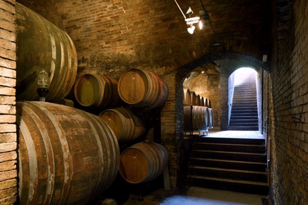 cantina vigne Bricco dei Guazzi