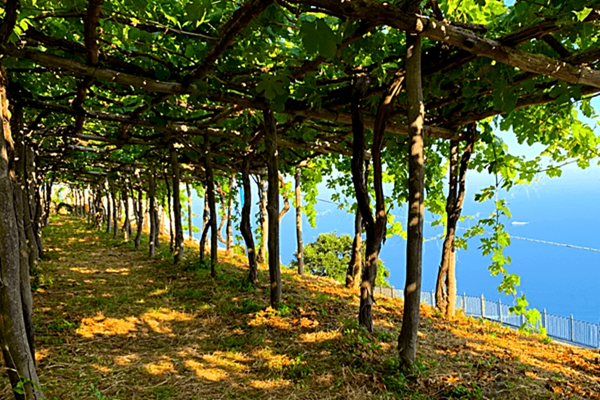 Costa d'Amalfi Marisa Cuomo