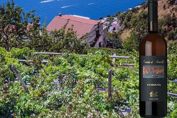 Costa d'Amalfi Furore Bianco Fiorduva 2016 di Marisa Cuomo