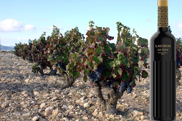 Laudum XII Plus Monastrell 2016