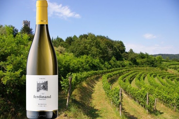 Brda Ferdinand Rebula 2018 Vinska klet Četrtič