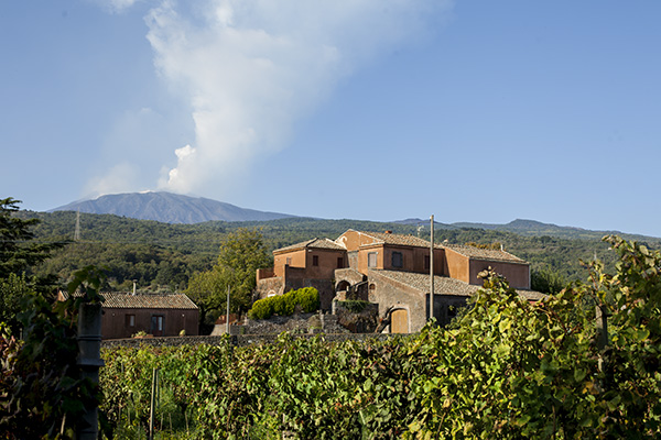 La cantina di Valle Galfina