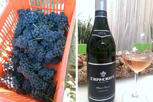 Metodo Classico Rosé dosaggio zero 2014 Erpacrife