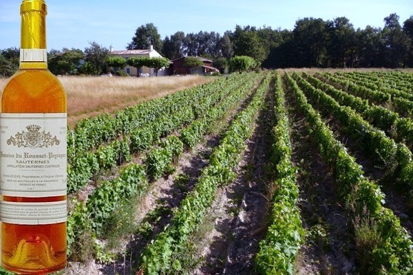 Sauternes crème de tête Selection 2002 Domaine Rousset Peyraguey